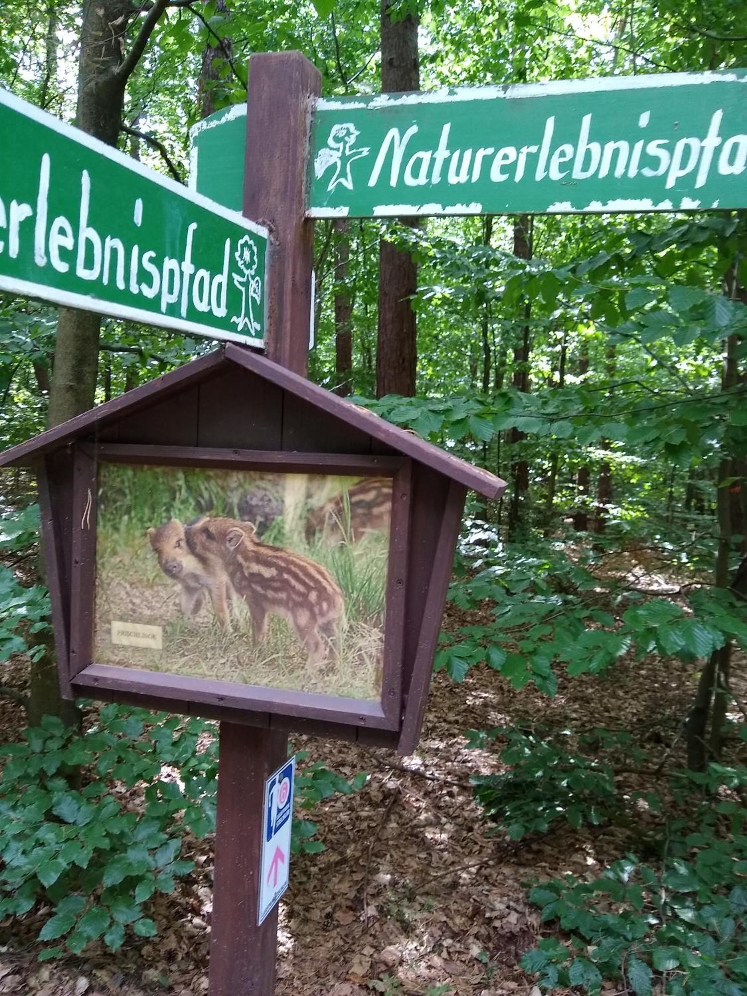 Zwei Seen Ferienhaus Canow Exteriör bild