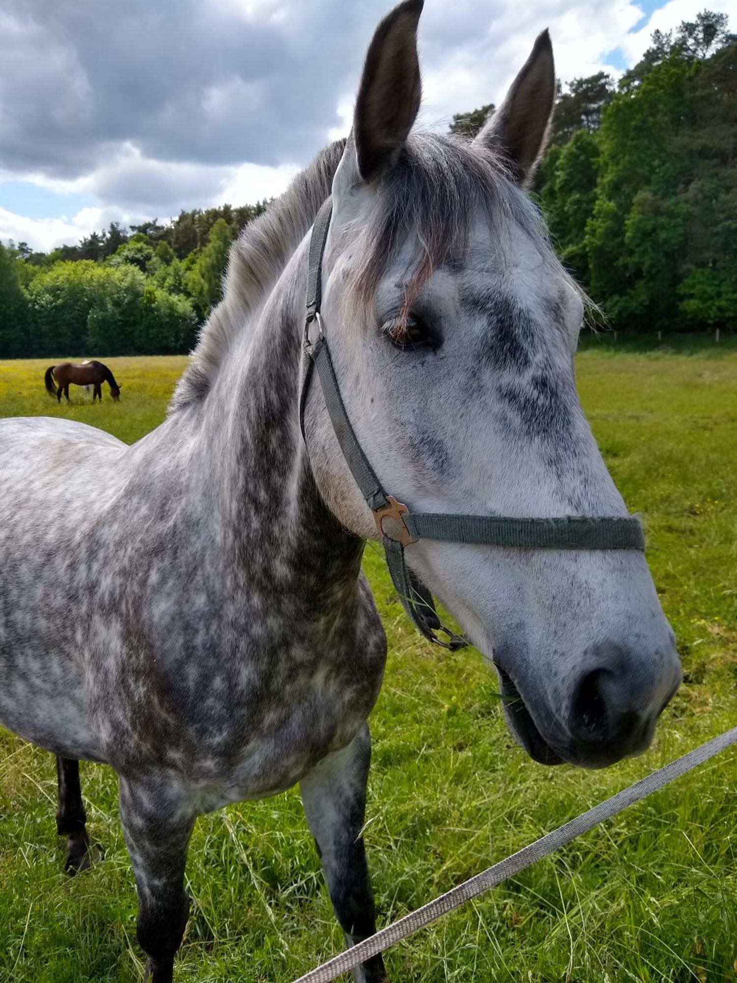 Zwei Seen Ferienhaus Canow Exteriör bild